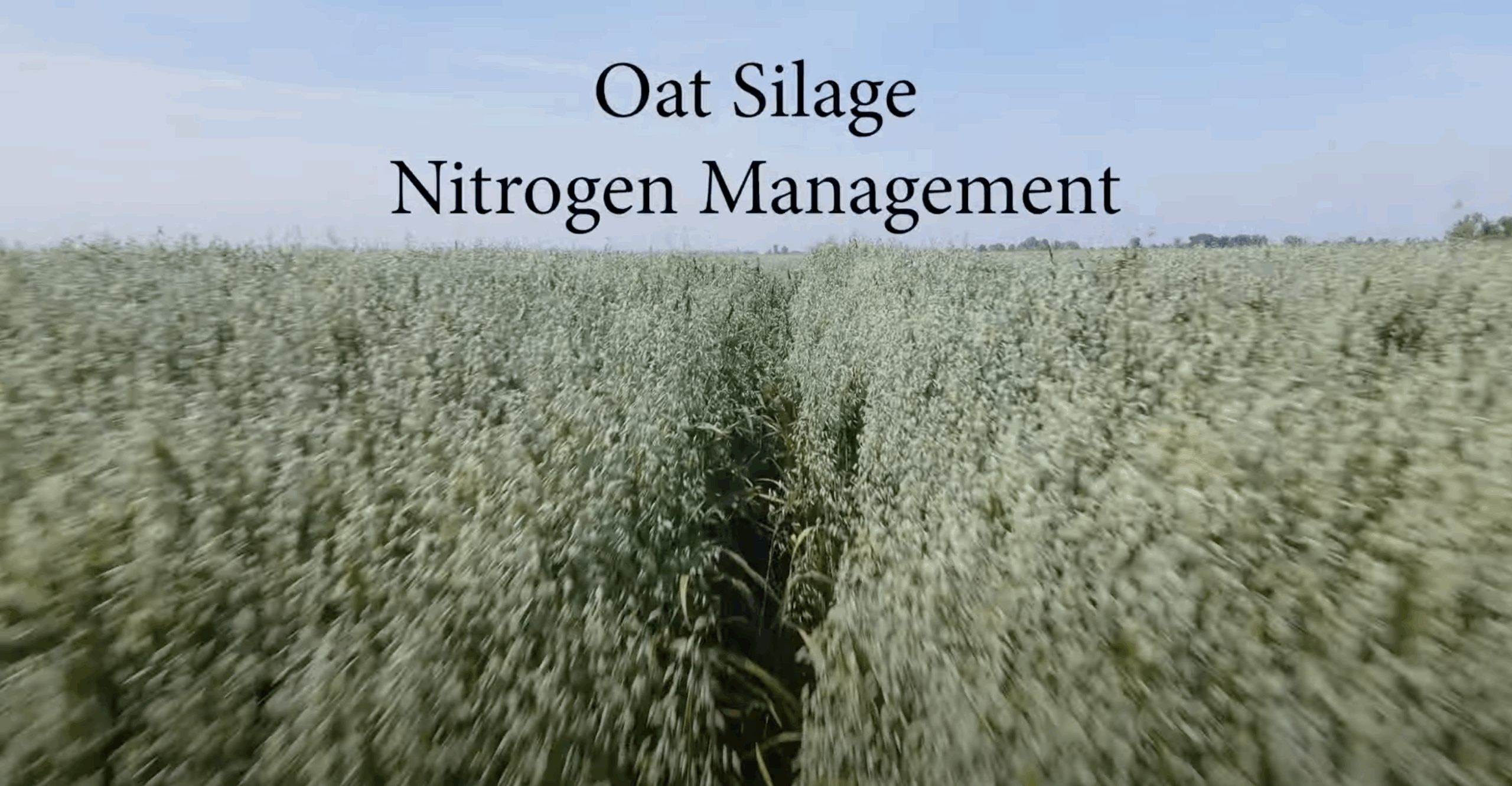 Screenshot 2025-07-10 at 5.44.45 PM